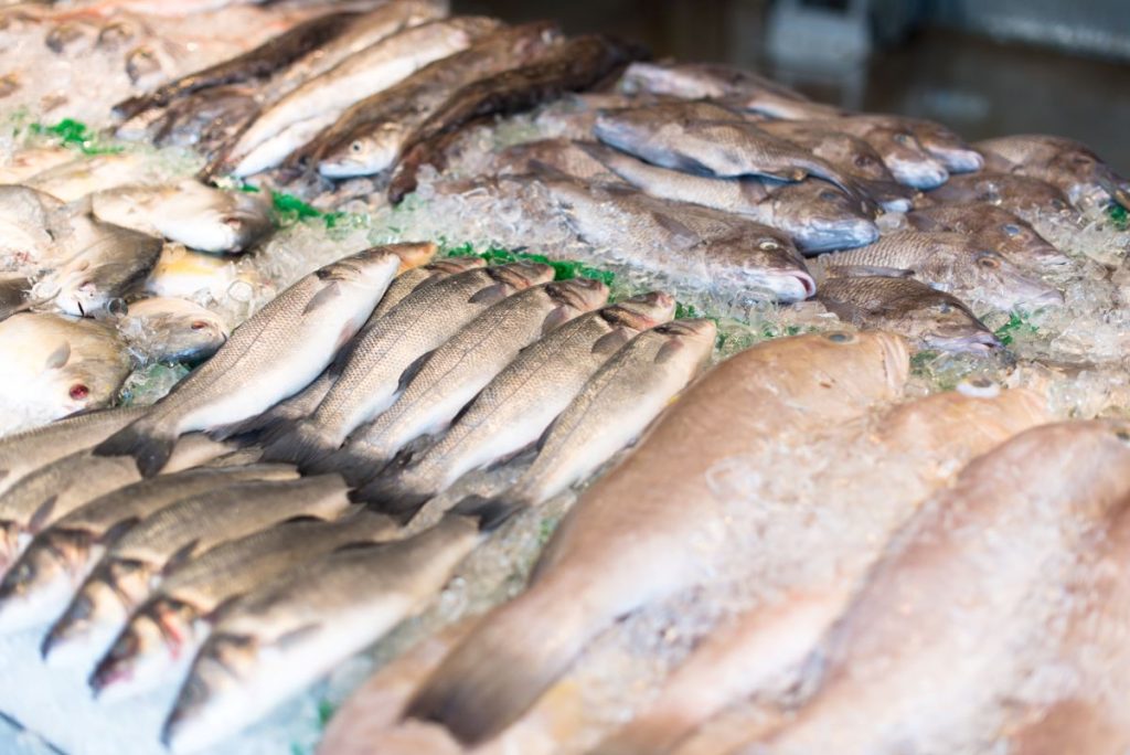 Trinidad and Tobago Committed to Exports of Fish and Fish Products to the EU