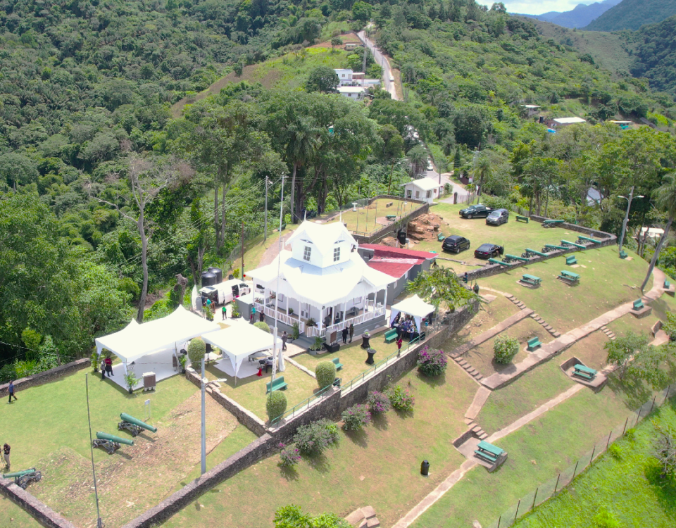 Aerial view of Fort George