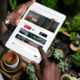 Picture of tablet and plants in background